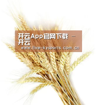 开云App官网下载 - 开云